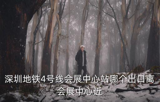 深圳地鐵4號線會展中心站哪個出口離會展中心近