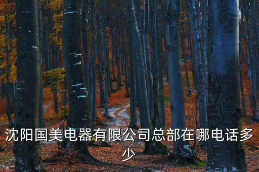 沈陽國美電器，沈陽國美電器所有的地址
