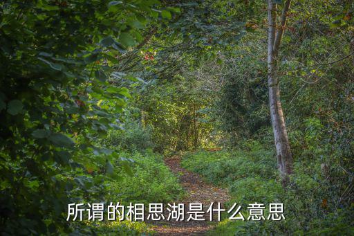 相思湖，所謂的相思湖是什么意思