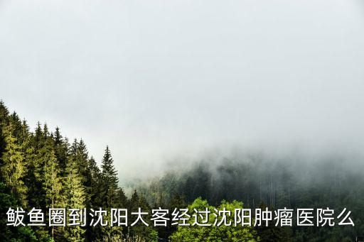 鲅魚圈到沈陽大客經過沈陽腫瘤醫院么
