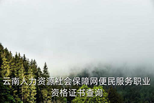社保個人查詢，個人社保查詢