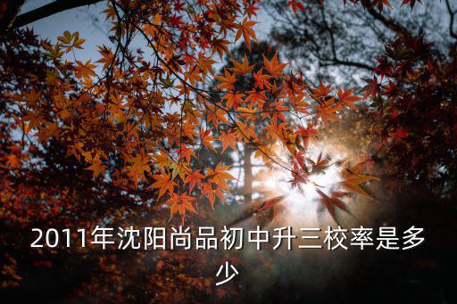 2011年沈陽尚品初中升三校率是多少