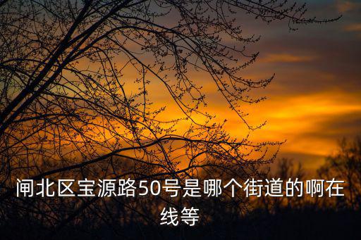 閘北區寶源路50號是哪個街道的啊在線等