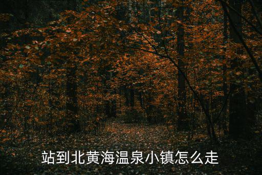 北黃海溫泉小鎮，北京朝陽區北四環有個順景溫泉飯店 那里正規嗎
