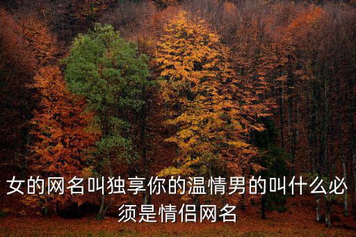 獨享你，情侶網名獨享你的溫柔應該配一句什么