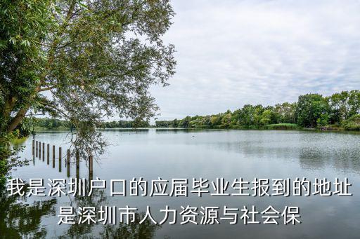 我是深圳戶口的應(yīng)屆畢業(yè)生報到的地址是深圳市人力資源與社會保