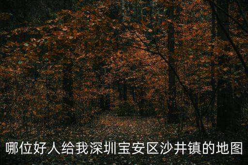哪位好人給我深圳寶安區沙井鎮的地圖