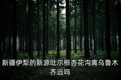 新疆伊犁的新源吐爾根杏花溝離烏魯木齊遠嗎