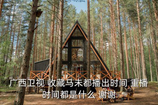 廣西衛視直播，有什么網站可以看到南寧圣火傳遞的現場直播