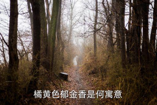 橙色郁金香，橙色的郁金香代表什么