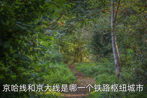京哈線和京大線是哪一個鐵路樞紐城市