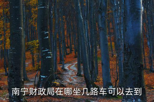 南寧財政局，請問會計證簽發機關是南寧財政局是在那里辦理會計年檢手續一般年