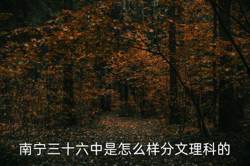 南寧三十六中是怎么樣分文理科的