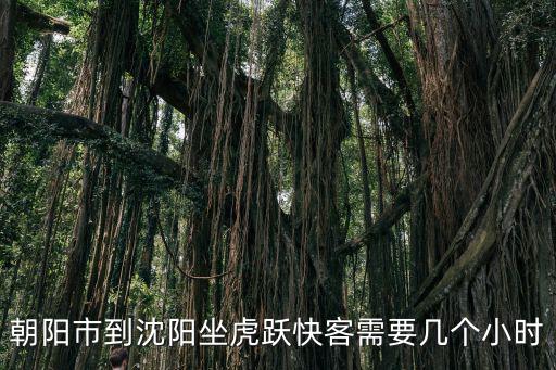 朝陽市到沈陽坐虎躍快客需要幾個小時
