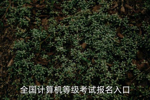 全國(guó)計(jì)算機(jī)等級(jí)考試報(bào)名入口