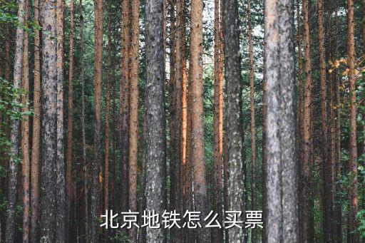 有軌電車怎么買票，廣佛肇城際輕軌怎樣買票