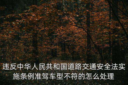 與準駕車型不符的怎么處理，違反中華人民共和國道路交通安全法實施條例準駕車型不符的怎么處理