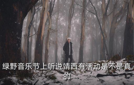 綠野音樂節上聽說靖西有活動是不是真的