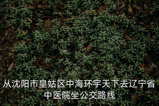 從沈陽市皇姑區中海環宇天下去遼寧省中醫院坐公交路線