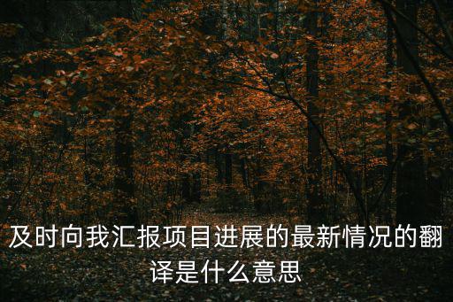 及時向我匯報項目進(jìn)展的最新情況的翻譯是什么意思