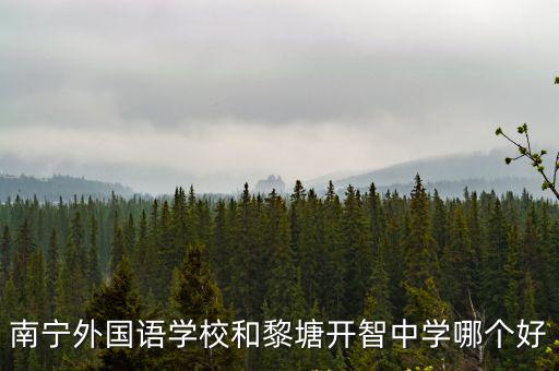 南寧外國語學校和黎塘開智中學哪個好