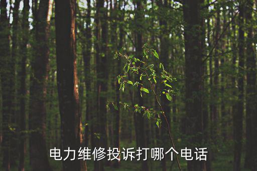 電力維修投訴打哪個電話