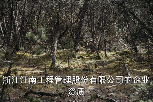 浙江江南工程管理股份有限公司的企業資質