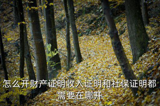 財產證明，急求請問財產證明材料怎么寫