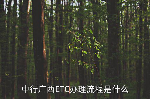 中行廣西ETC辦理流程是什么