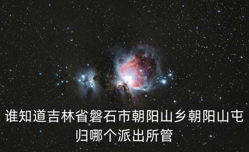 誰知道吉林省磐石市朝陽山鄉朝陽山屯歸哪個派出所管