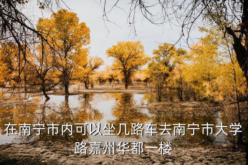嘉州華都，在南寧市內可以坐幾路車去南寧市大學路嘉州華都一樓