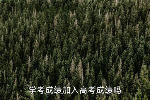 學(xué)考成績加入高考成績嗎