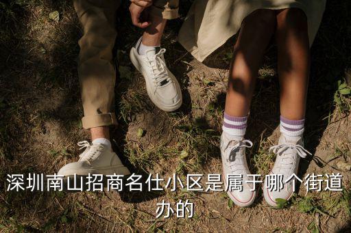 南山區招商街道，深圳市南山區興工路是哪個街道