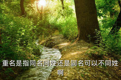 重名，重名是指同名同姓還是同名可以不同姓啊