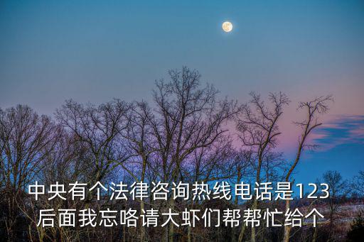 中央有個法律咨詢熱線電話是123 后面我忘咯請大蝦們幫幫忙給個
