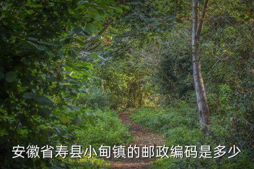 壽縣郵政編碼，安徽省壽縣小甸鎮(zhèn)的郵政編碼是多少