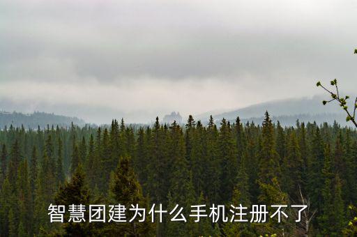 智慧團(tuán)建為什么手機(jī)注冊(cè)不了