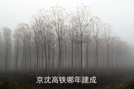京沈高鐵，京沈高鐵哪年建成