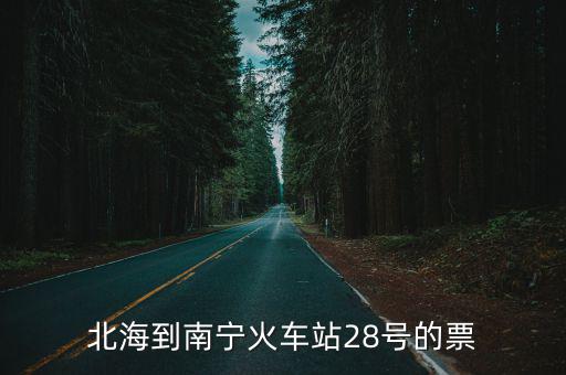 北海到南寧火車站28號的票
