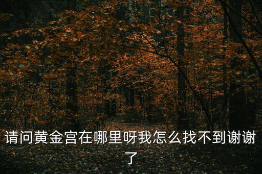 請問黃金宮在哪里呀我怎么找不到謝謝了