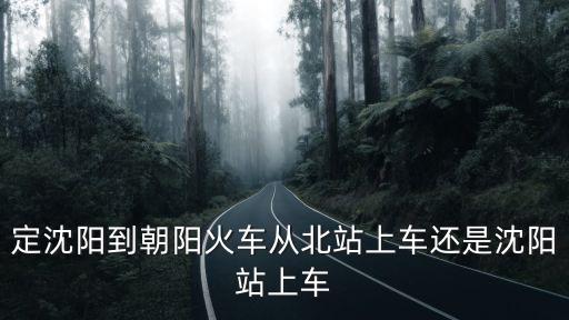 朝陽北站，定沈陽到朝陽火車從北站上車還是沈陽站上車