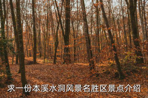 求一份本溪水洞風景名勝區景點介紹