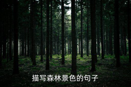 描寫森林景色的句子