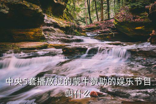 中央5套播放過(guò)的蒙牛贊助的娛樂(lè)節(jié)目叫什么