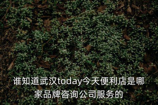誰知道武漢today今天便利店是哪家品牌咨詢公司服務的
