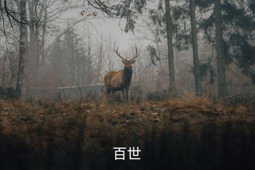 百世