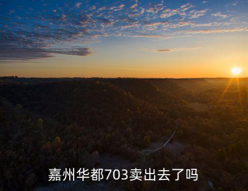 嘉州華都703賣出去了嗎