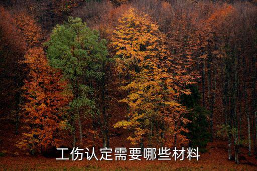 工傷認定需要哪些材料