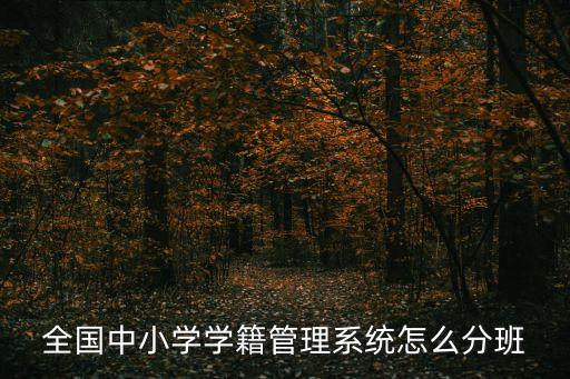 全國中小學(xué)生學(xué)籍信息系統(tǒng)，全國中小學(xué)生學(xué)籍管理系統(tǒng)如何修改學(xué)生學(xué)籍基本信息