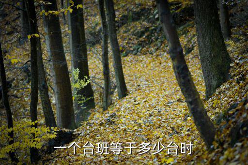 臺(tái)時(shí)，電視機(jī)右下角換臺(tái)時(shí)總有個(gè)1字